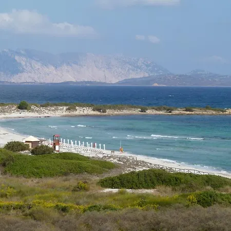 Stazzu Di Mezzu Holiday Feriehus San Teodoro (Sardinia)